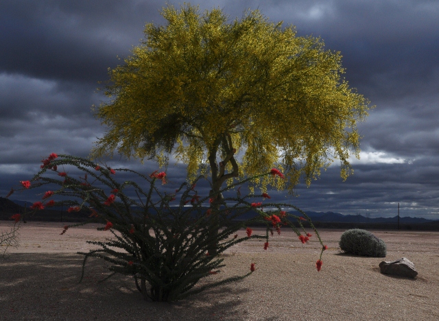 spring at PHRV